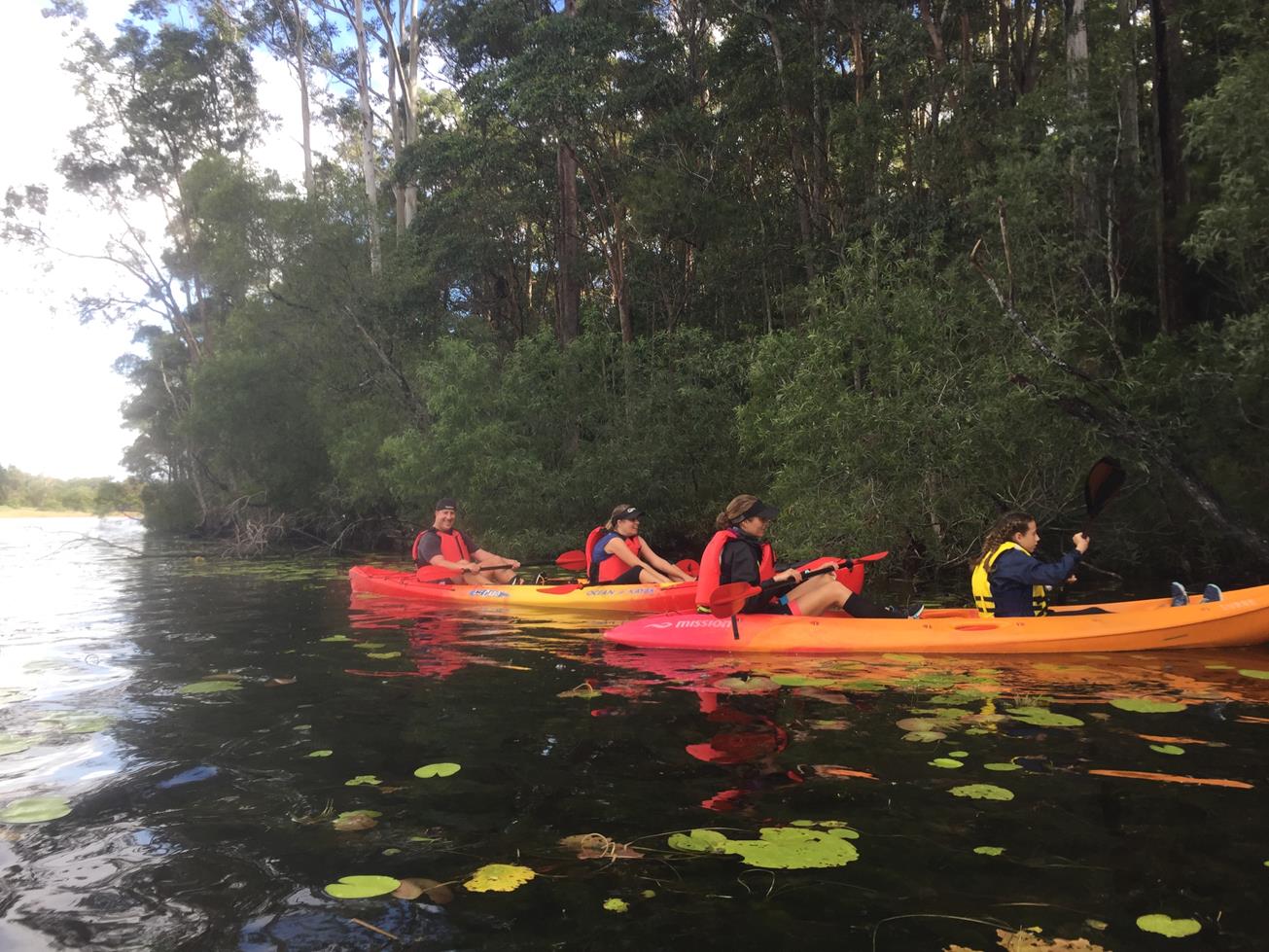 Lake MacDonald Canoe/Kayak Adventure Sunshine Coast